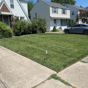 yard service by Cris Landscaping reviewed on August 20, 2025