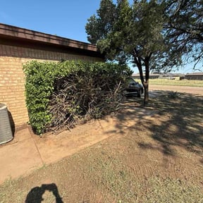 Bush Trimming by Landscapers reviewed on August 20, 2025