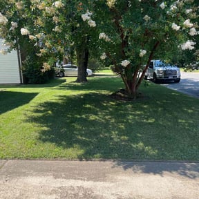 yard care by Lawrence Landscaping reviewed on August 18, 2025