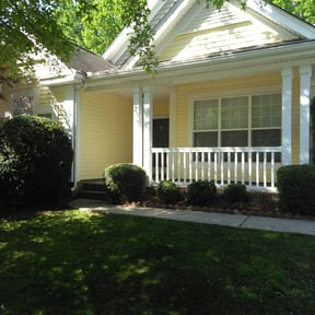 Bush Trimming by Elite Services reviewed on August 16, 2025