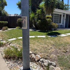 Bush Trimming by JD's Green stride solutions reviewed on July 27, 2026