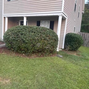 Bush Trimming by Mac&#039;s Lawn Care reviewed on October 22, 2025
