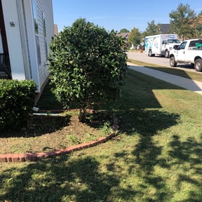 Bush Trimming by N2theoutdoors lawn and landscaping reviewed on August 21, 2025