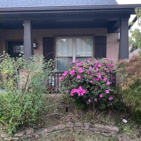 Bush Trimming by P&amp;A PS SERVICES CORPORATION reviewed on April 21, 2021