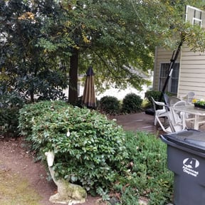 Bush Trimming by Wood wizard outdoors llc. reviewed on August 18, 2025