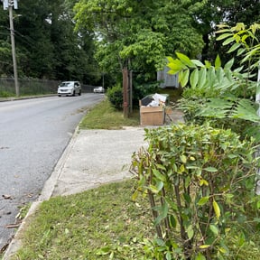 Leaf Removal by Highgrade Movements reviewed on September 12, 2025