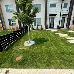 residential landscaping by Chris Arizona LLC reviewed on November 27, 2025