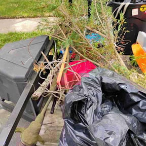 Bush Trimming by Barrel &amp; Blade Lawn care reviewed on April 9, 2026