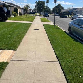 residential landscaping by Campbell&#039;s lawns reviewed on August 15, 2025