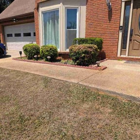 Bush Trimming by Wichi landscaping reviewed on April 25, 2026