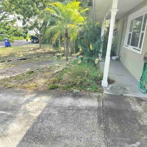 Flower Bed Weeding by WLRexpress reviewed on August 20, 2025