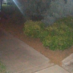 Flower Bed Weeding by Kb lawn care reviewed on August 21, 2025