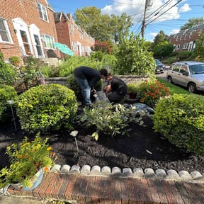 Mulching by Leneirs Landscaping reviewed on August 17, 2025