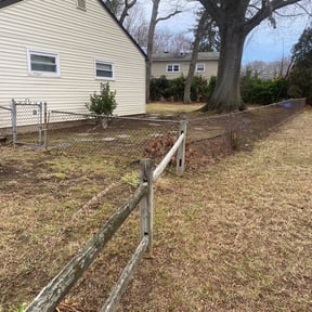 Leaf Removal by Chuyin's Lawn Care LLC reviewed on September 19, 2025