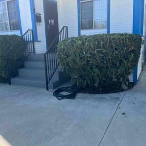 Bush Trimming by 4 Season Services reviewed on November 18, 2025