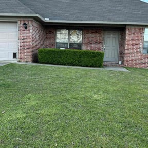 Bush Trimming by JL Property Maintenance reviewed on August 16, 2025
