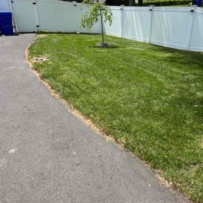 yard work by Straightlines LLC reviewed on August 20, 2025