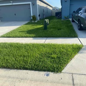 landscape maintenance by Electric Lawns reviewed on November 21, 2025