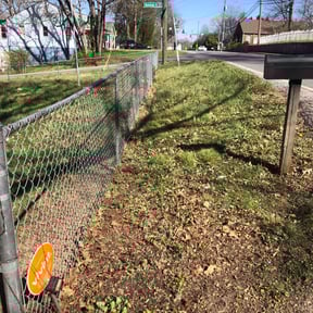 Leaf Removal by Converse Area Lawn Care reviewed on August 13, 2025