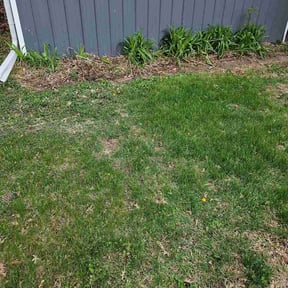 Leaf Removal by Mercy&amp; Grace detail lawn $ landscaping design reviewed on April 23, 2026