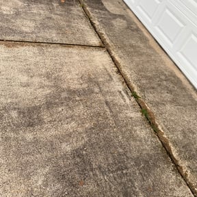 Flower Bed Weeding by Scotton Landscaping reviewed on August 18, 2025