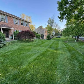 landscaping by Lawn Enforcement Lawn Care LLC reviewed on August 18, 2025