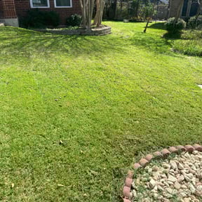 landscaping services by Painlessmaintenance.llc reviewed on November 25, 2025