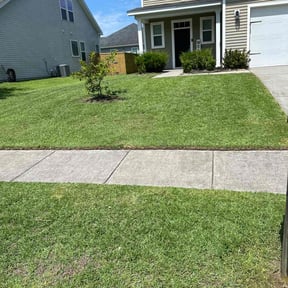 yard service by Part Time Hubby reviewed on August 16, 2025