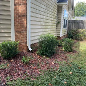 Bush Trimming by Premium Touch Landscaping reviewed on November 23, 2025
