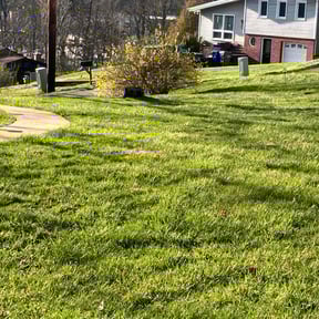 yard care by Mike’s lawn care reviewed on August 21, 2025