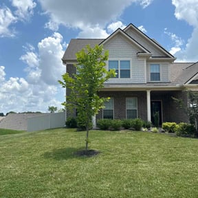 yard service by TJ landscaping and more reviewed on December 1, 2025