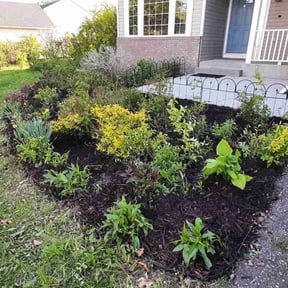 Mulching by High Standards reviewed on August 21, 2025