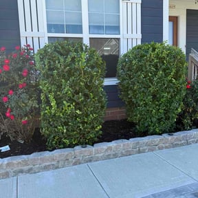 Bush Trimming by Allcover landscape reviewed on November 10, 2025