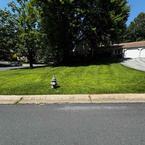 lawn maintenance by Mr G&#039;s HandyMan &amp; Lawn pro.service reviewed on August 21, 2025