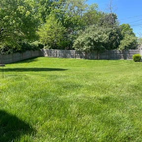 landscaping services by Brooks Lawn care services reviewed on August 16, 2025