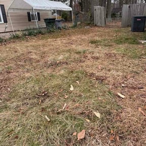 Leaf Removal by Brandon Figaro reviewed on July 3, 2026