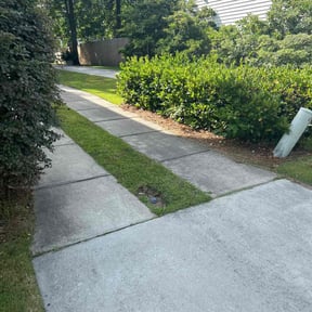 turf care by Green Thumb Lawn Care reviewed on August 21, 2025