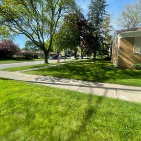 turf maintenance by Gregory's lawn reviewed on April 16, 2024