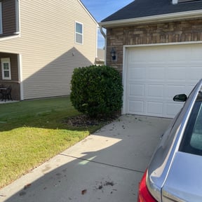 Bush Trimming by MNH reviewed on November 20, 2025