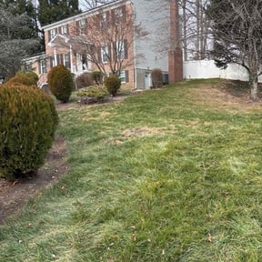 Leaf Removal by EDDY'S TREE SERVICES LLC -LAWN CARE reviewed on October 14, 2026