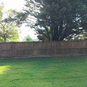 Leaf Removal by Solid Ground Landscaping reviewed on September 21, 2025