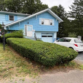 Bush Trimming by Patricks lawn service reviewed on August 19, 2025