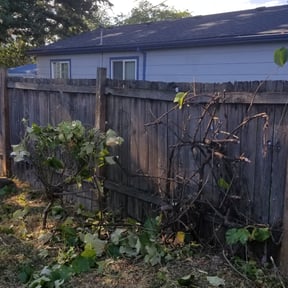 Bush Trimming by Forever Green Landscape reviewed on August 20, 2025