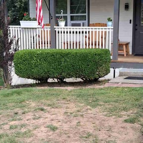Bush Trimming by Caesar’s Premier Landscaping reviewed on July 6, 2026