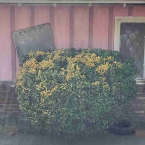 Bush Trimming by Curry's mowing reviewed on August 19, 2025