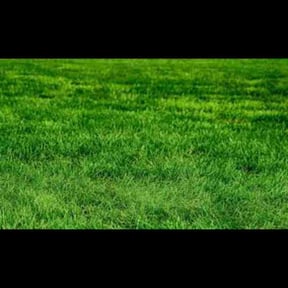 Bush Trimming by Greenwood Irrigation & Lawn Care LLC reviewed on August 15, 2025