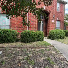 Bush Trimming by J&S Outdoor Maintenance LLC reviewed on August 21, 2025