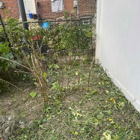 Bush Trimming by Grass be gone reviewed on October 18, 2025