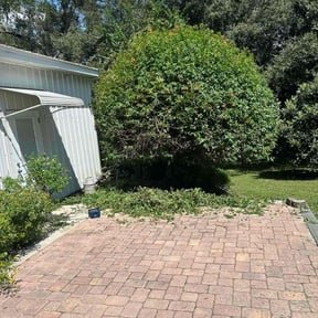 Bush Trimming by Blue Mountain Landscaping Co. (RUSHPOINT MAINTENANCE GROUP) reviewed on October 20, 2025