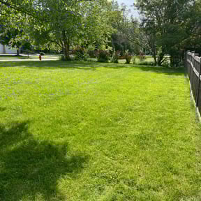 landscape maintenance by Luxury Finish Lawn care reviewed on August 15, 2025
